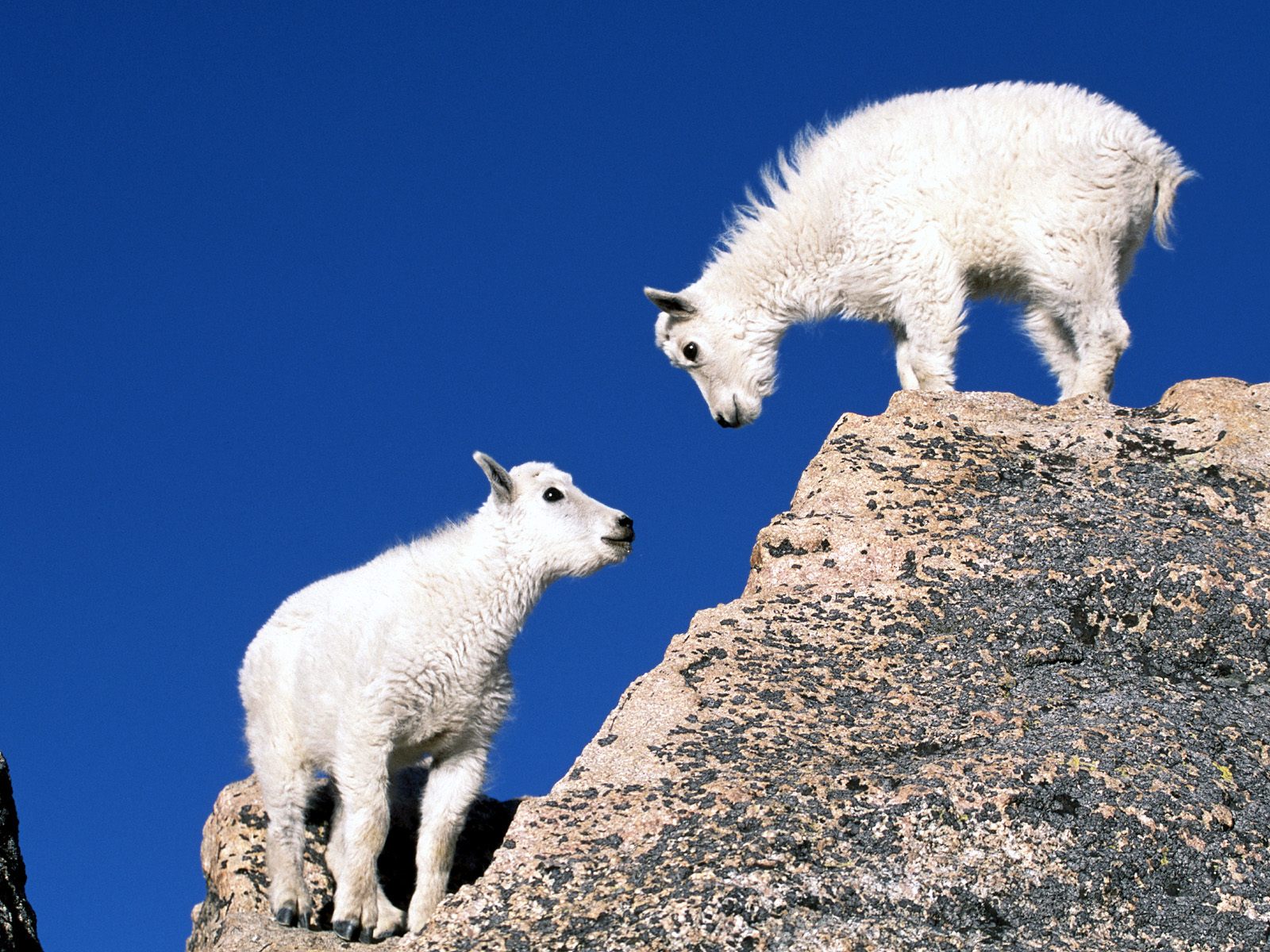 Nature Pic  1465