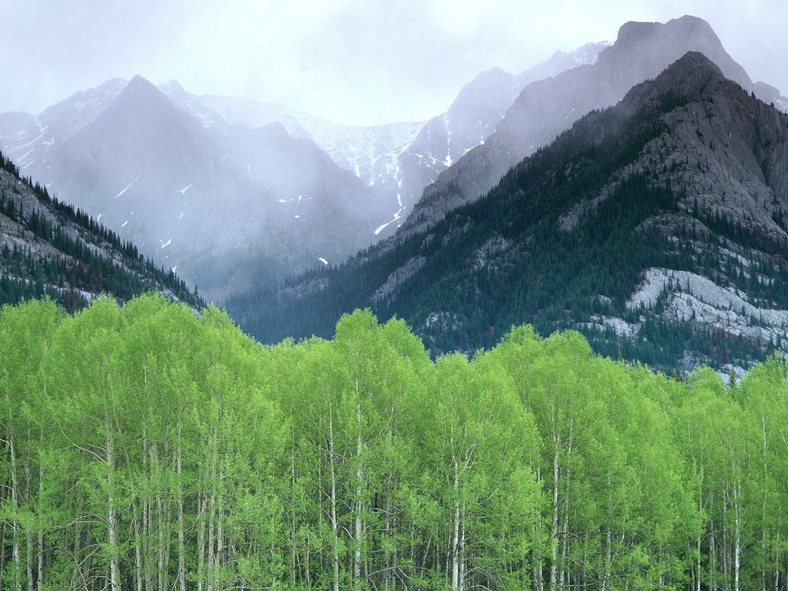 Nature Pic  1466