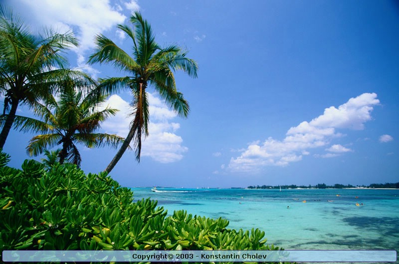 Nature Pic  149