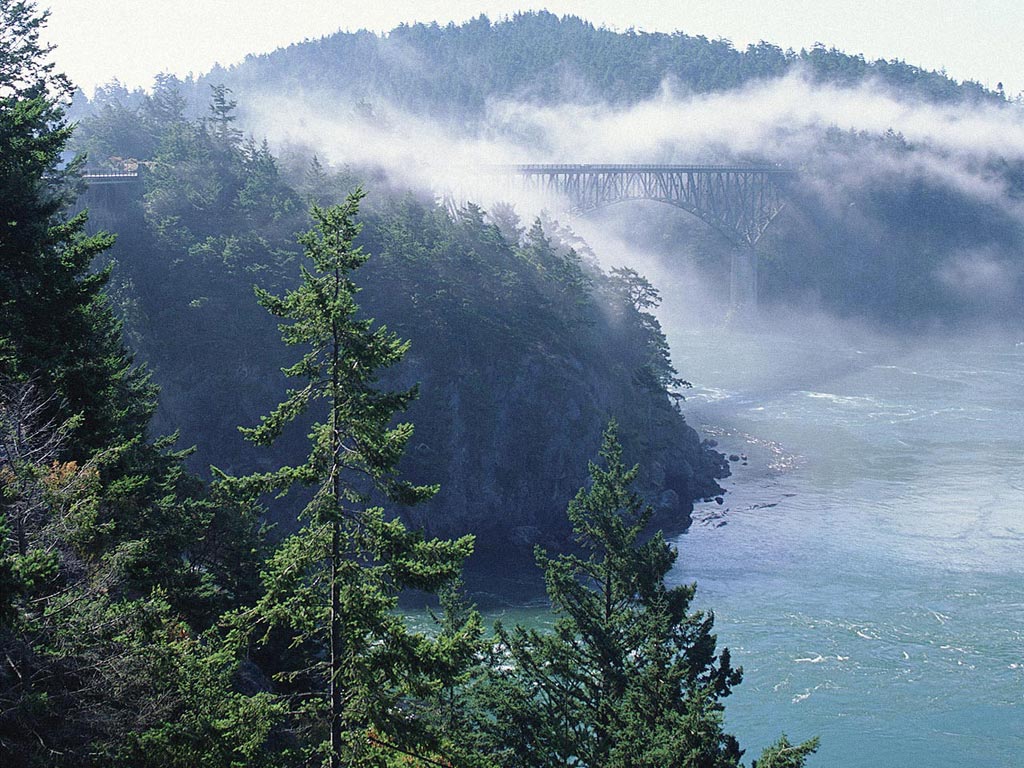 Nature Pic  1497