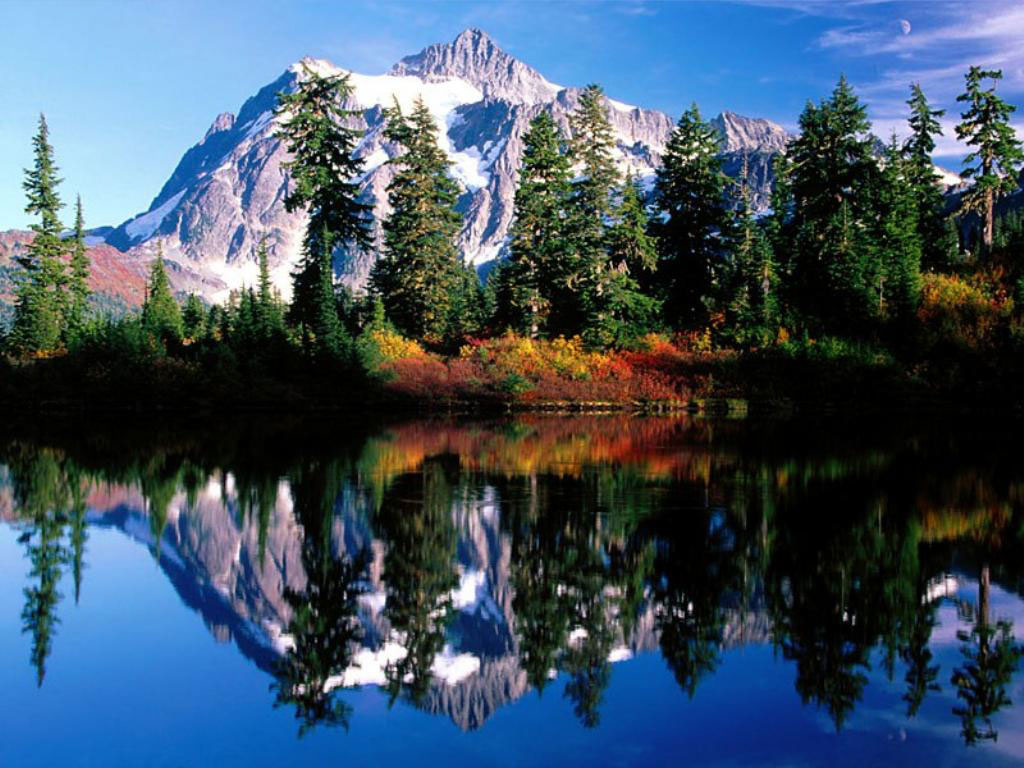 Nature Pic  1509