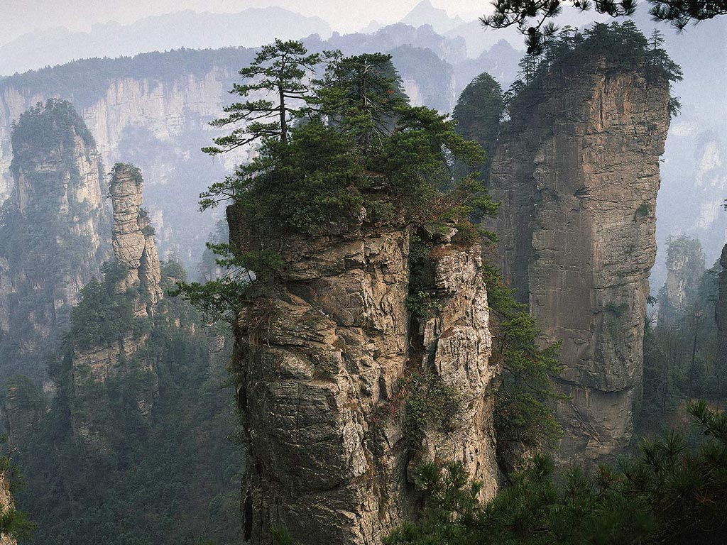 Nature Pic  1516