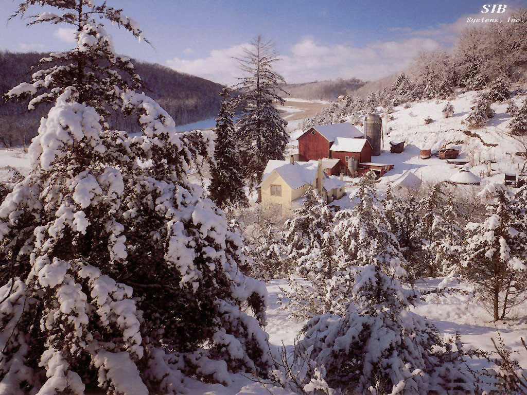 Nature Pic  1517