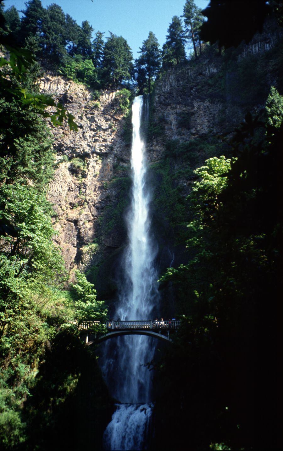 Nature Pic  1552