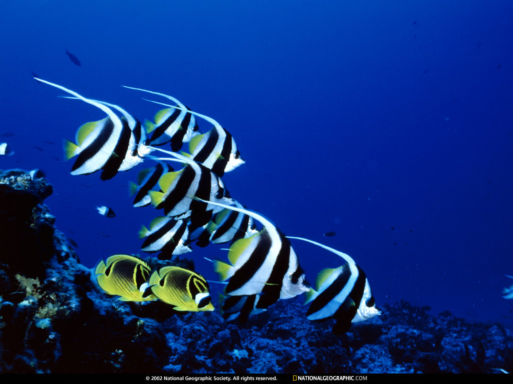 Nature Pic  1657