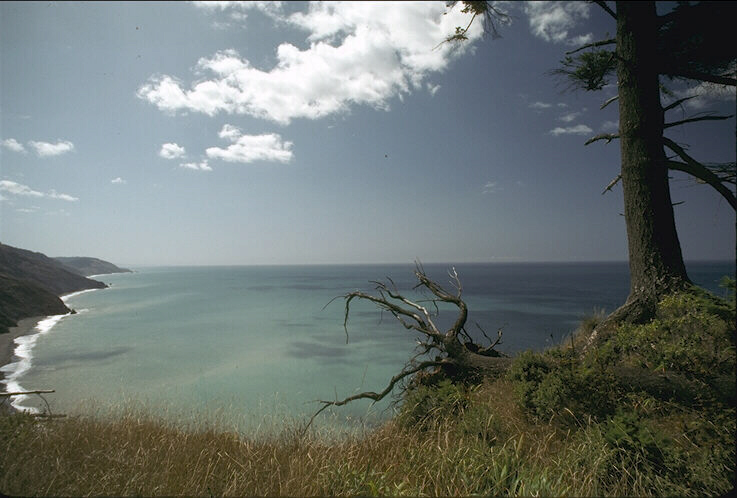 Nature Pic  166