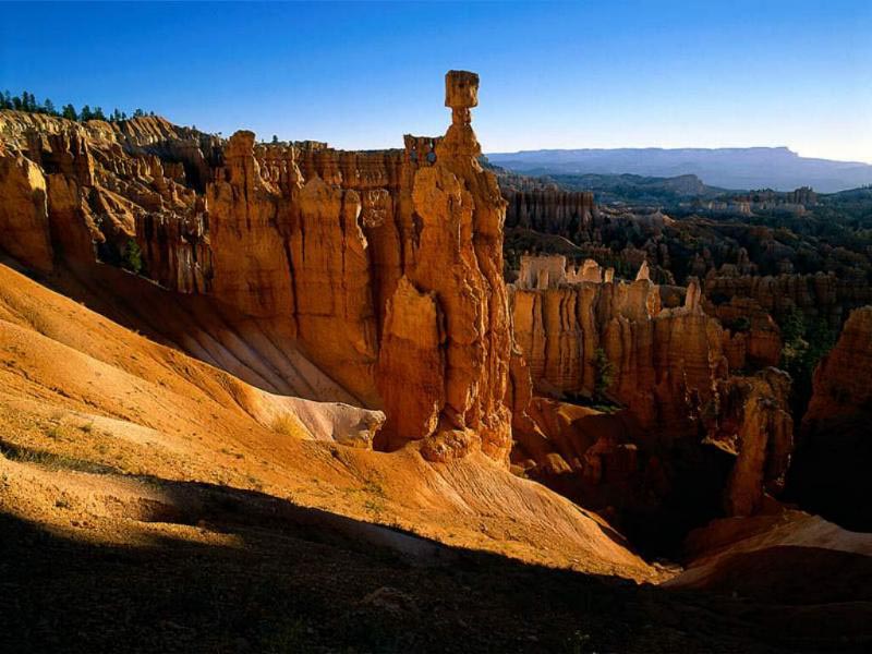 Nature Pic  1664