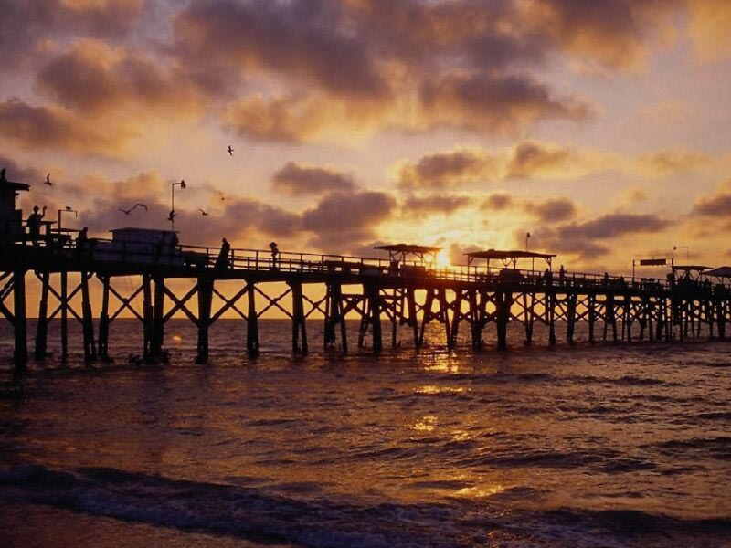Nature Pic  1669