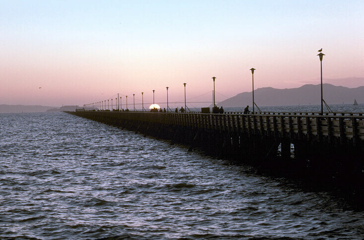 Nature Pic  167