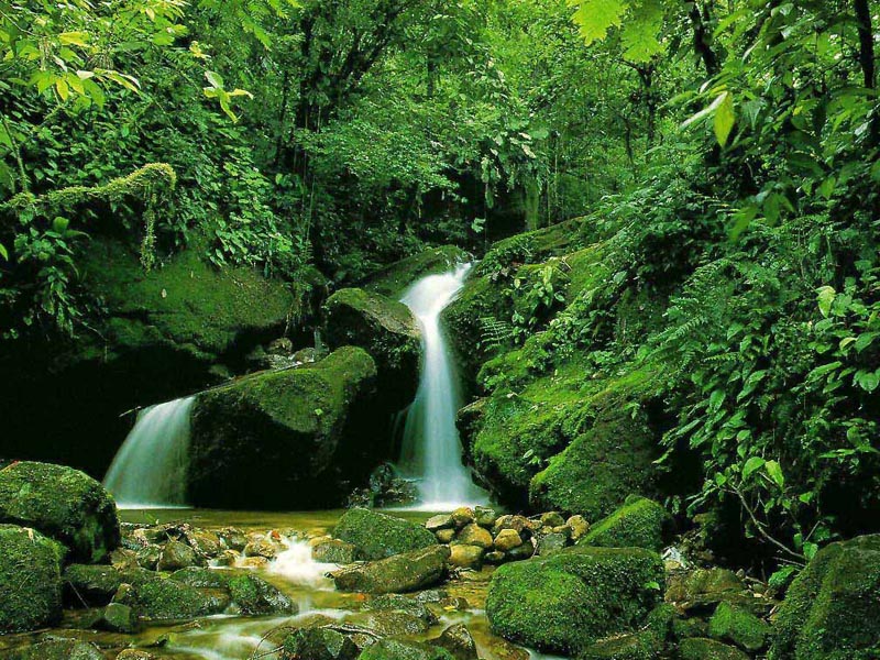 Nature Pic  1672