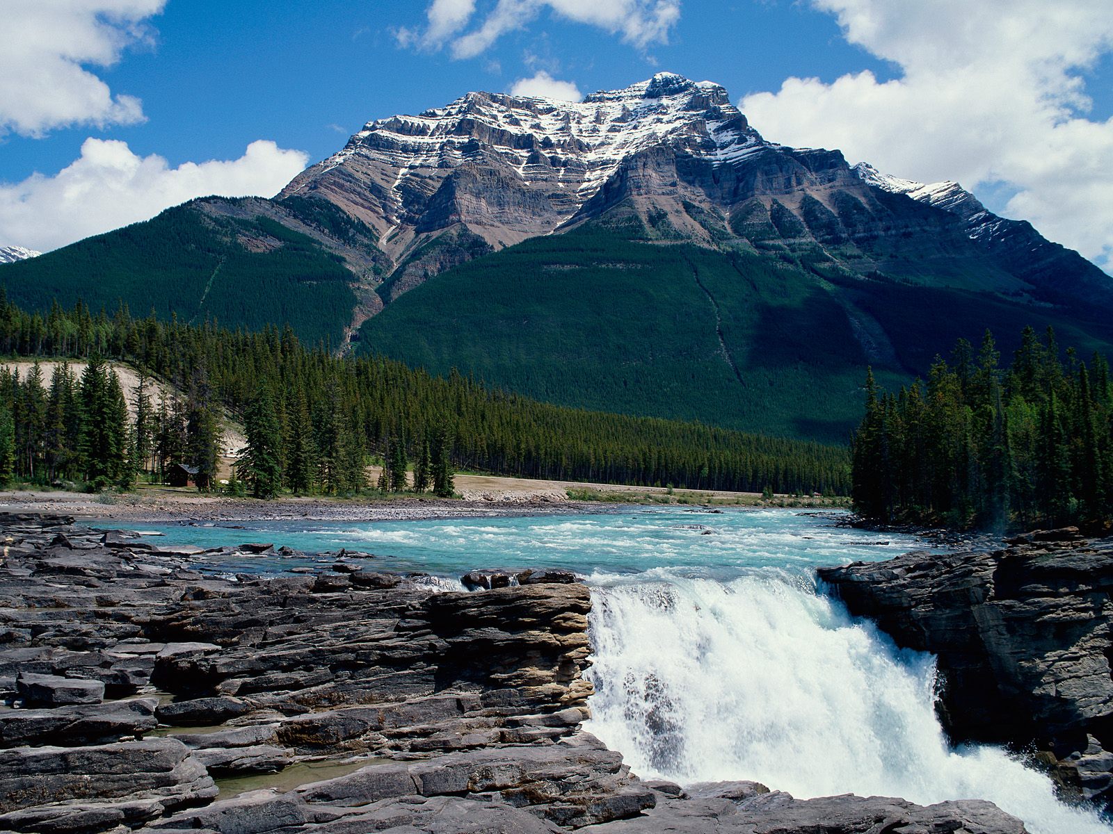 Nature Pic  1681