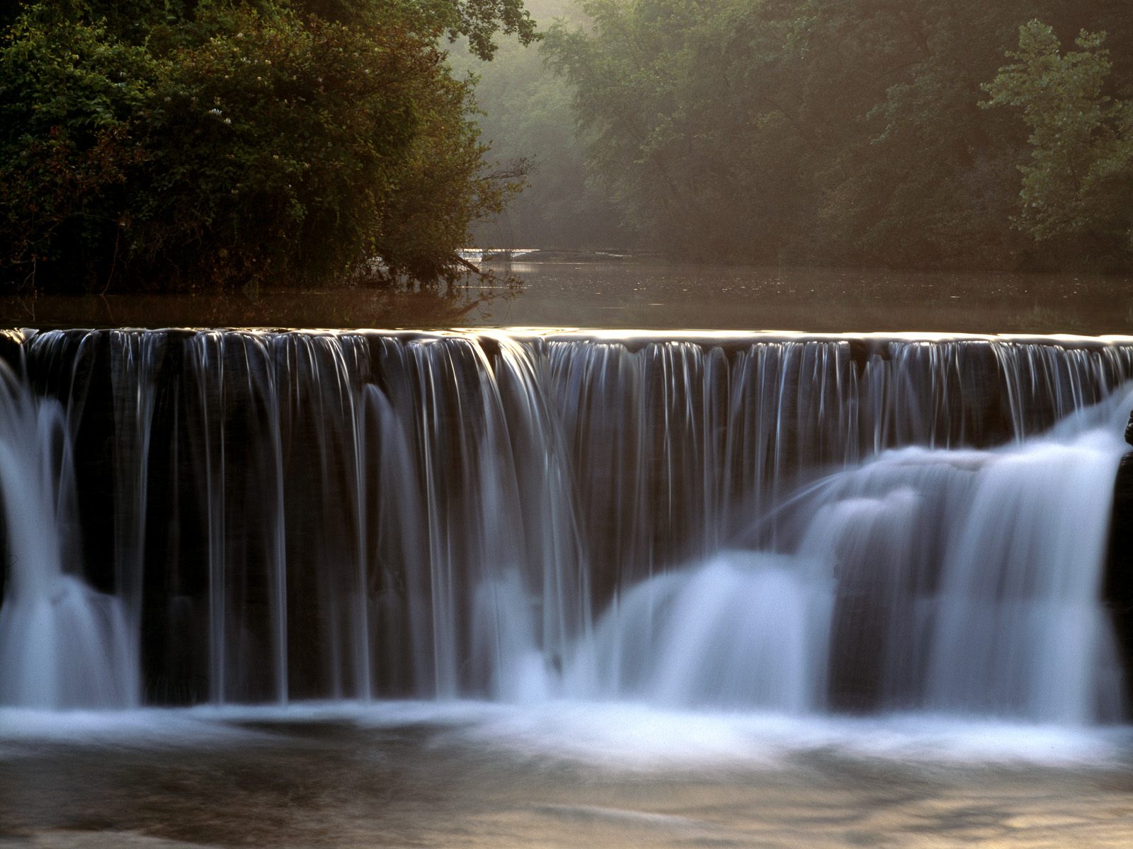 Nature Pic  1683