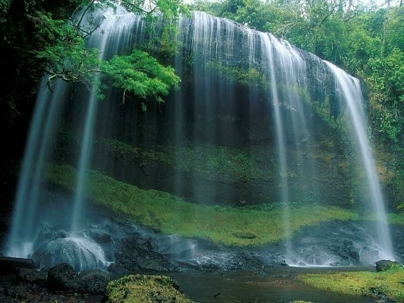 Nature Pic  1688