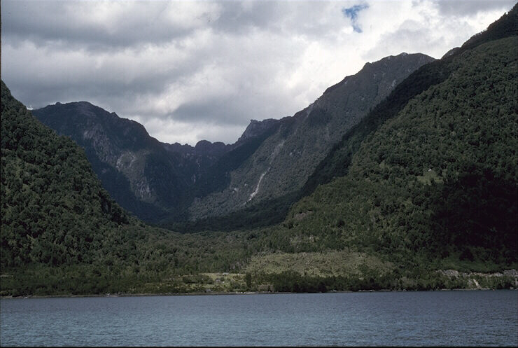 Nature Pic  169