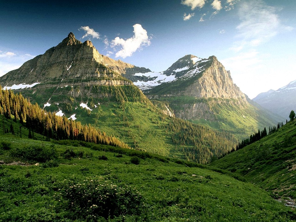 Nature Pic  1704