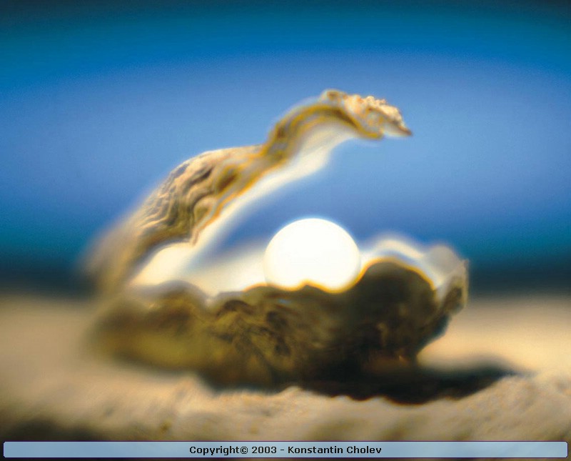Nature Pic  172