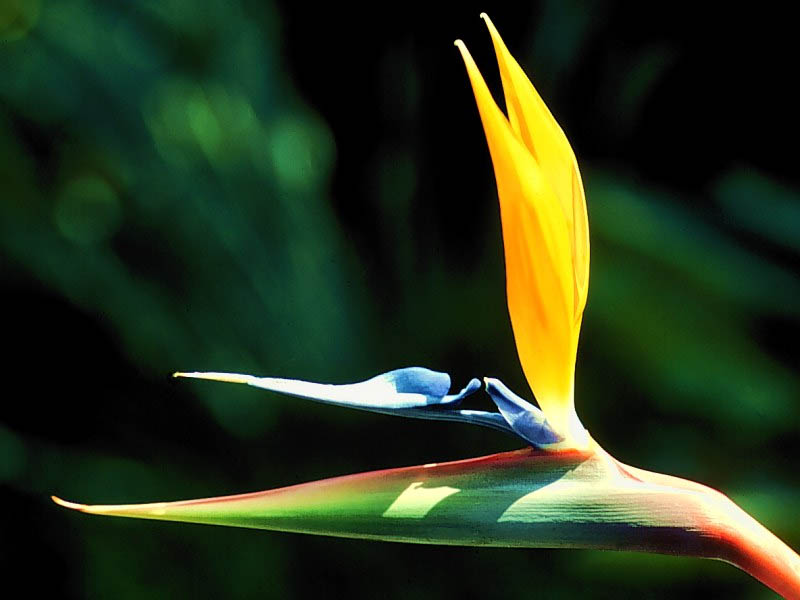 Nature Pic  1723