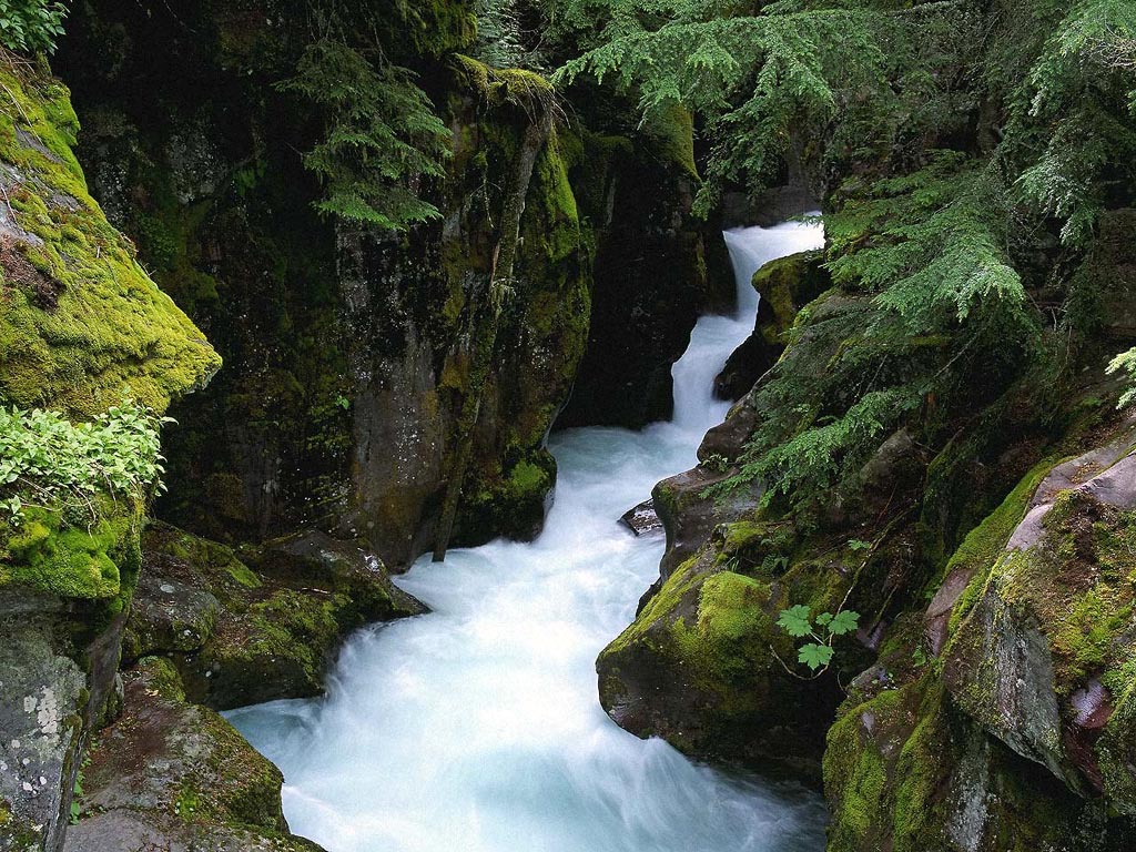 Nature Pic  1760