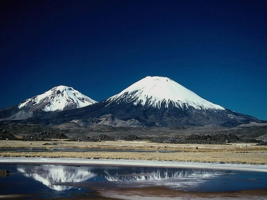 Nature Pic  1773