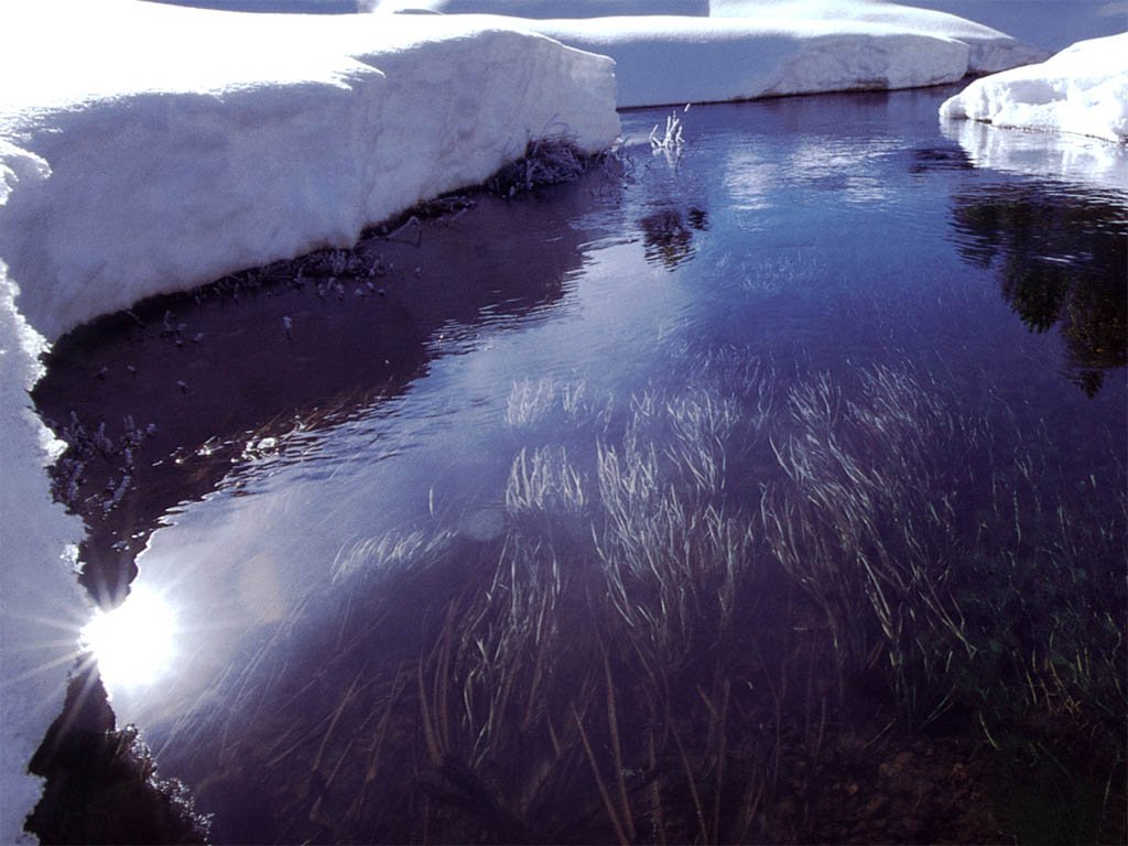 Nature Pic  1775