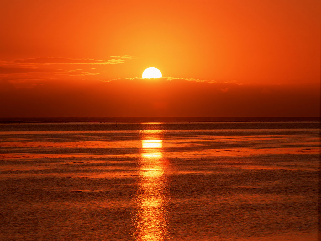 Nature Pic  1793