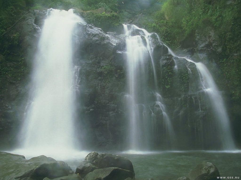 Nature Pic  1803