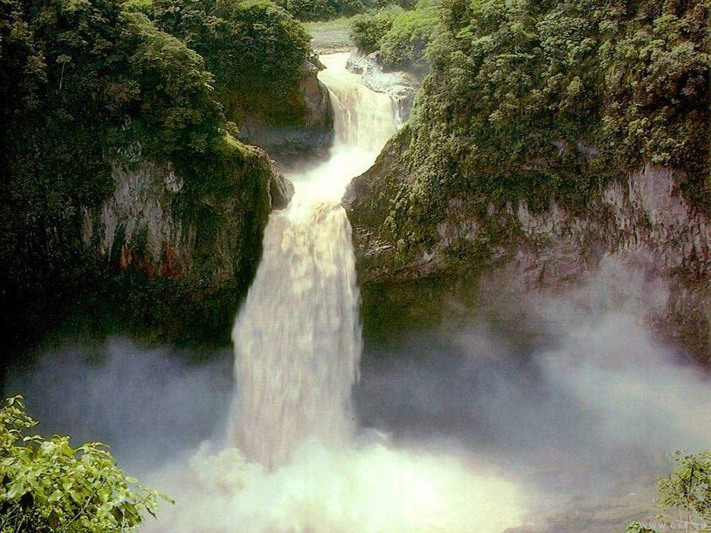 Nature Pic  1813