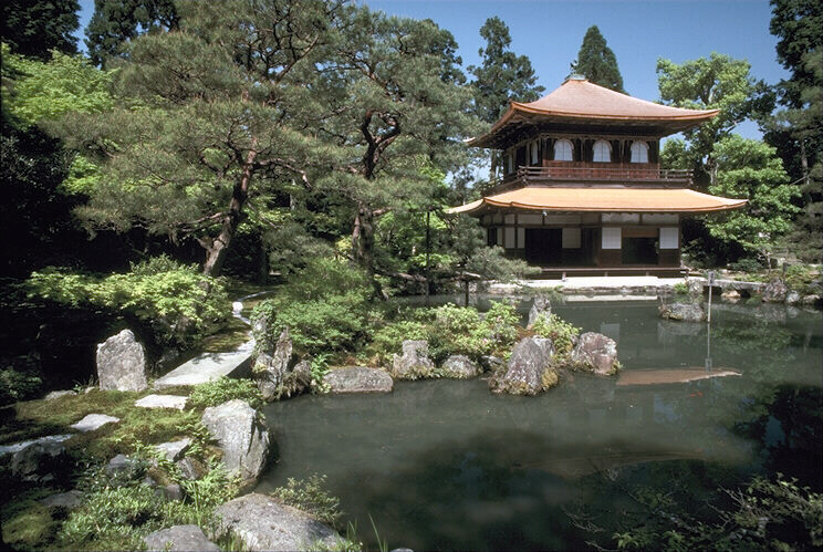 Nature Pic  182