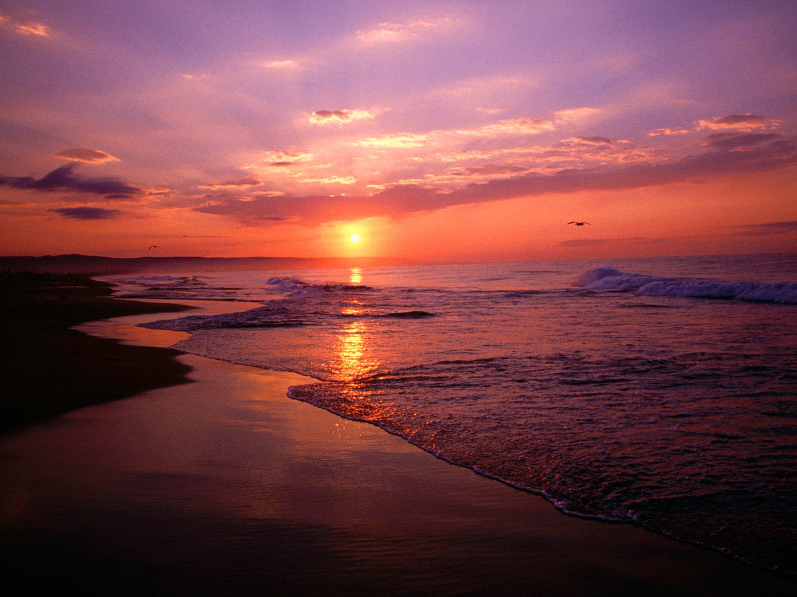 Nature Pic  1858