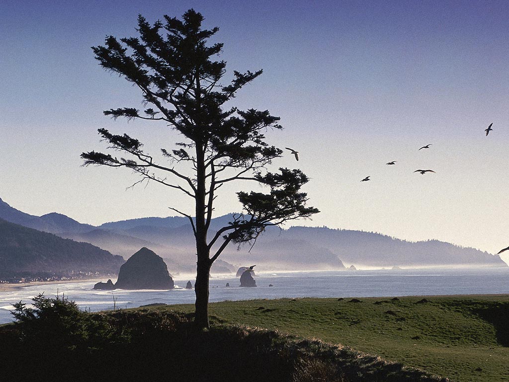 Nature Pic  1959