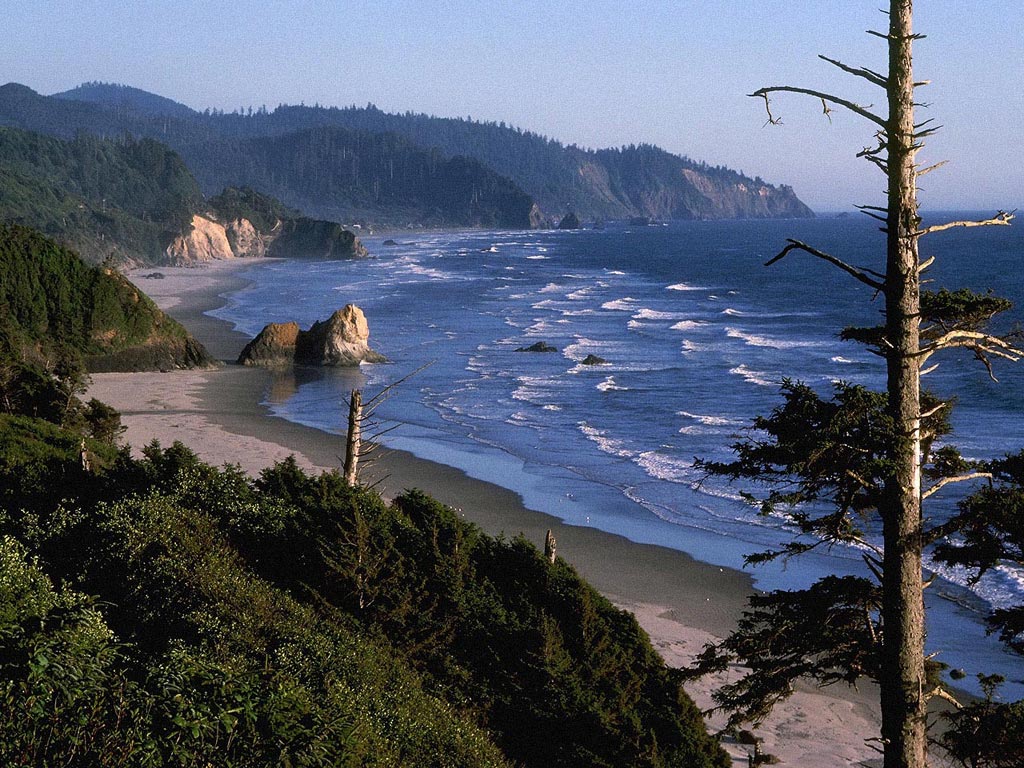 Nature Pic  1960