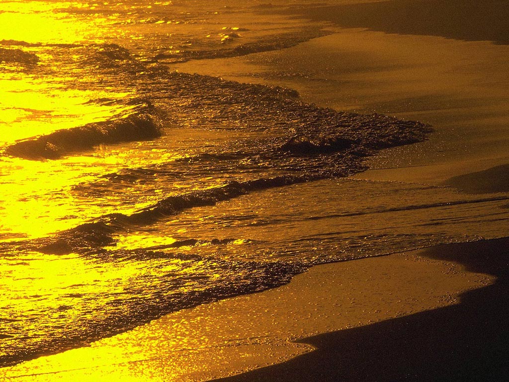 Nature Pic  1977