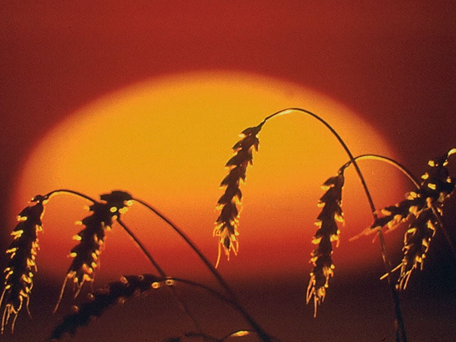 Nature Pic  2