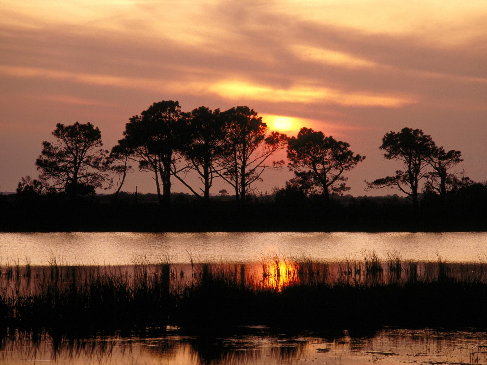 Nature Pic  2000