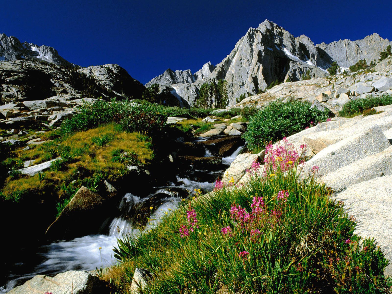 Nature Pic  2023