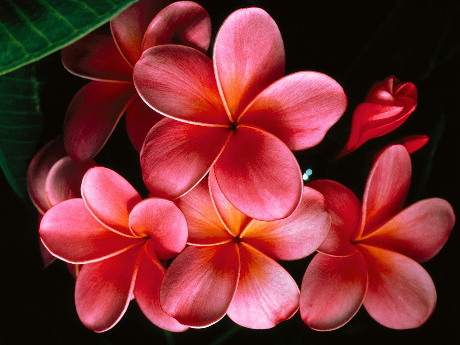 Nature Pic  2027