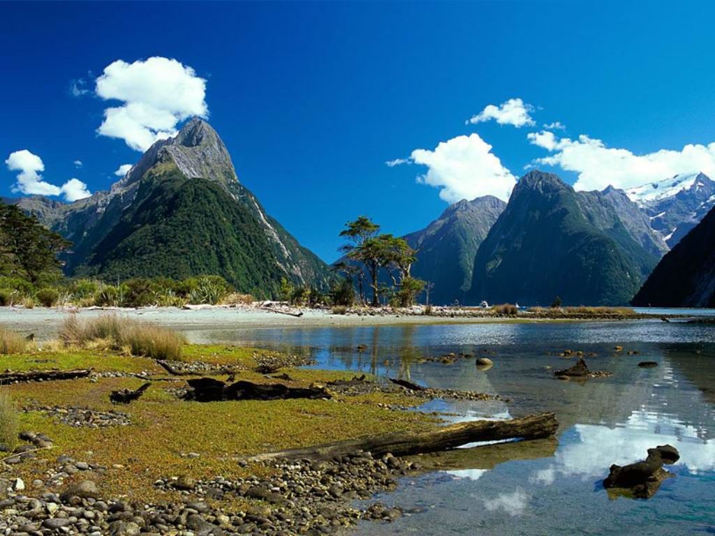 Nature Pic  2040