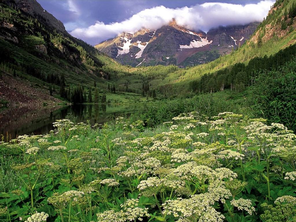 Nature Pic  2041
