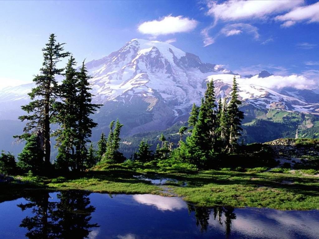 Nature Pic  2046