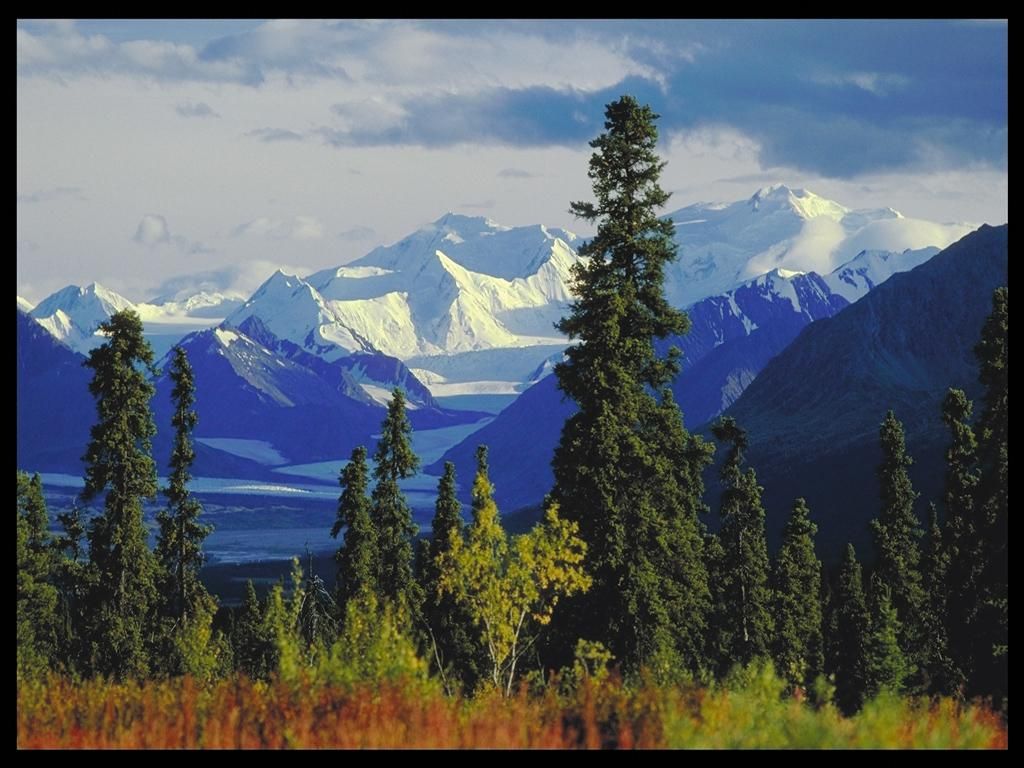 Nature Pic  2055