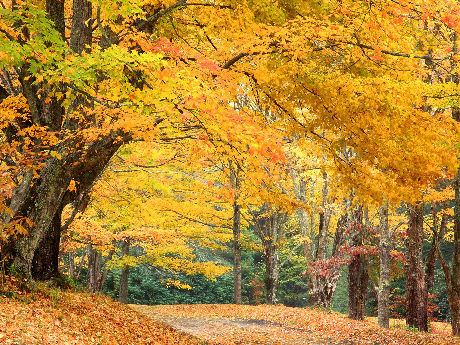Nature Pic  2128