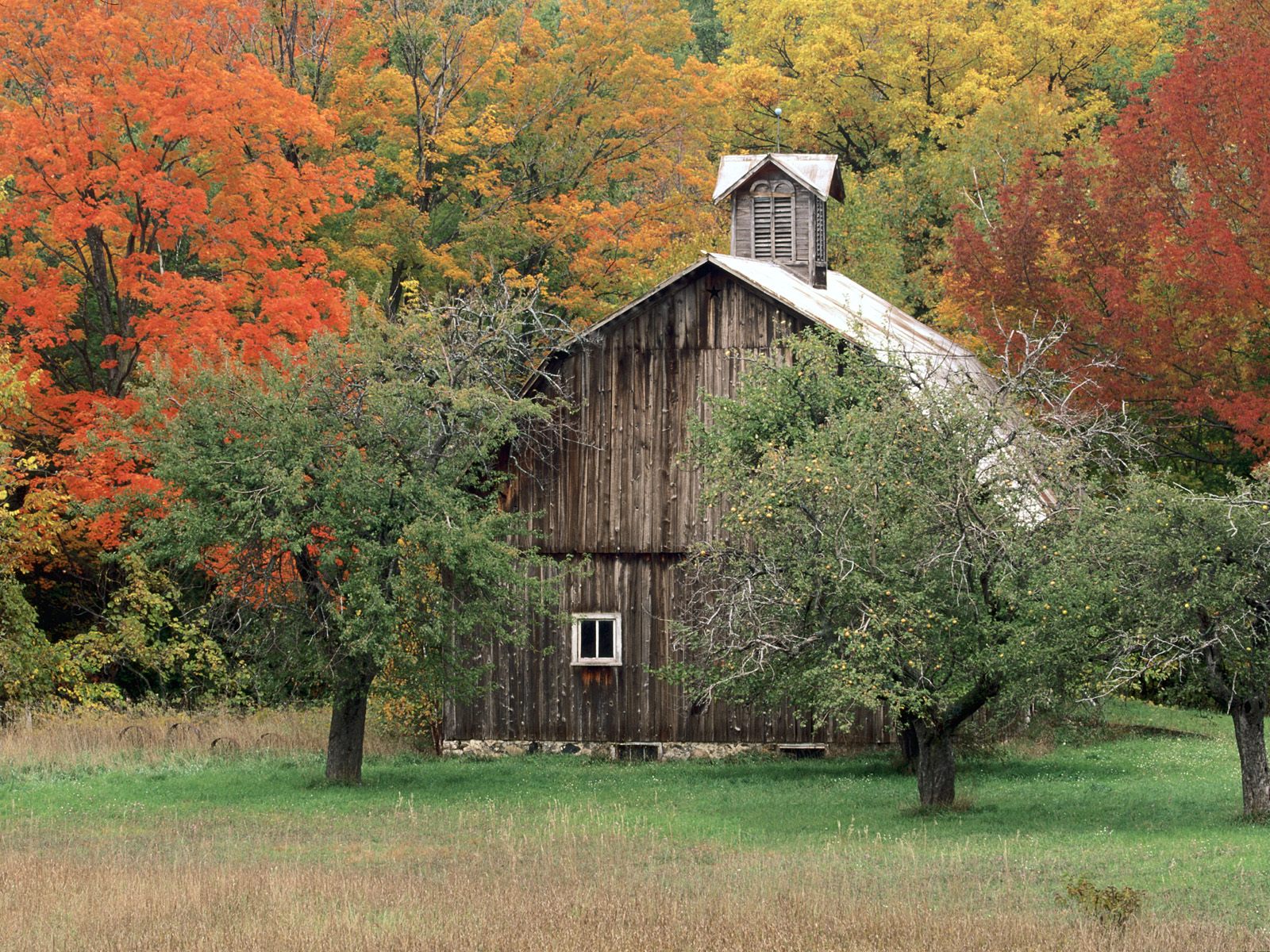 Nature Pic  2131