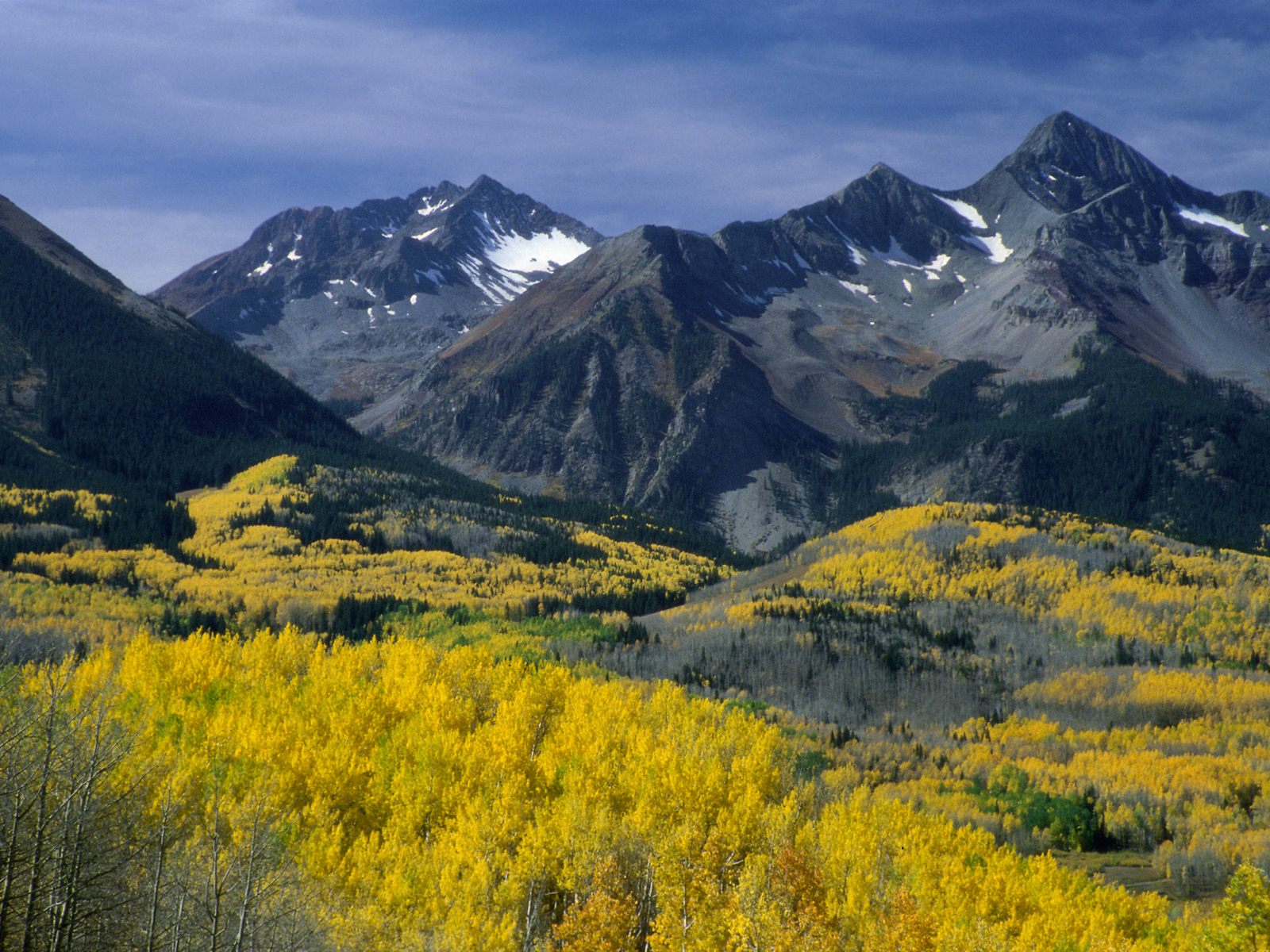 Nature Pic  2134