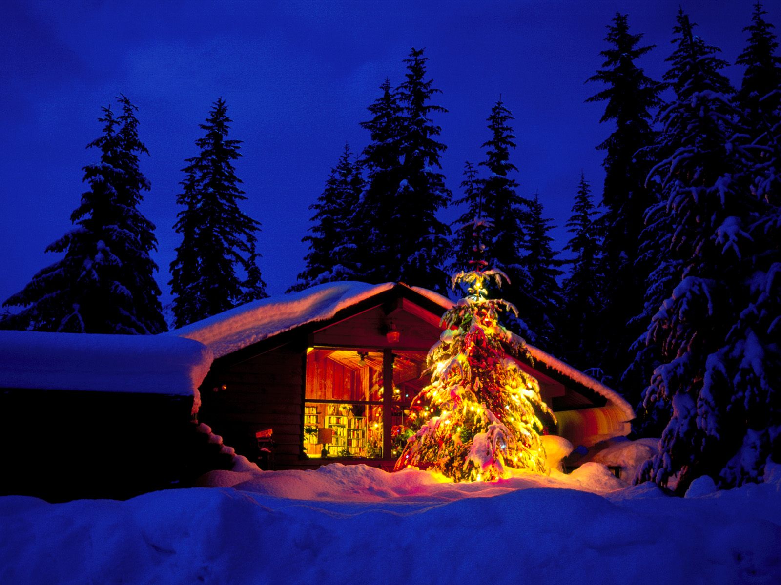 Nature Pic  2138