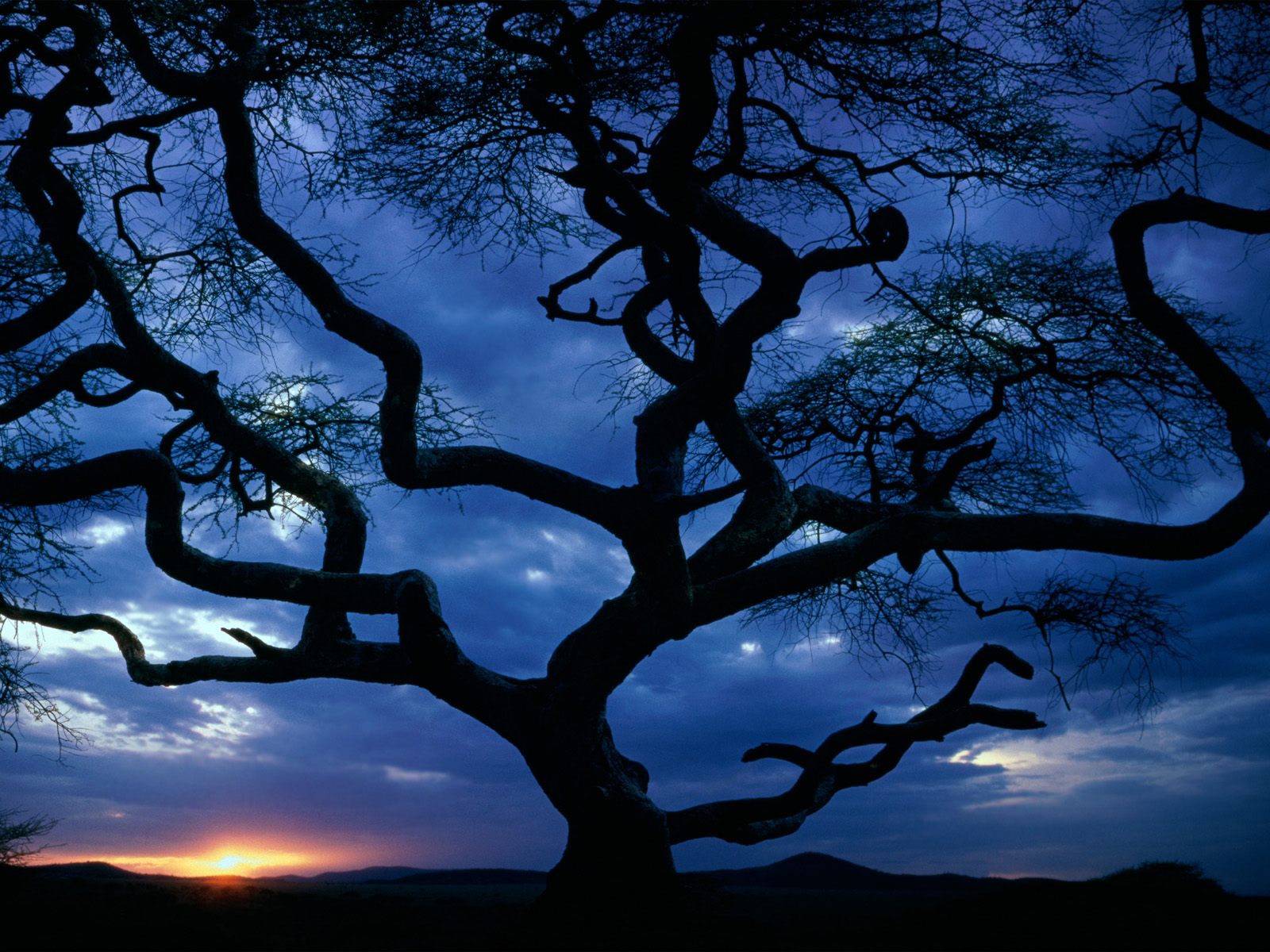 Nature Pic  2142
