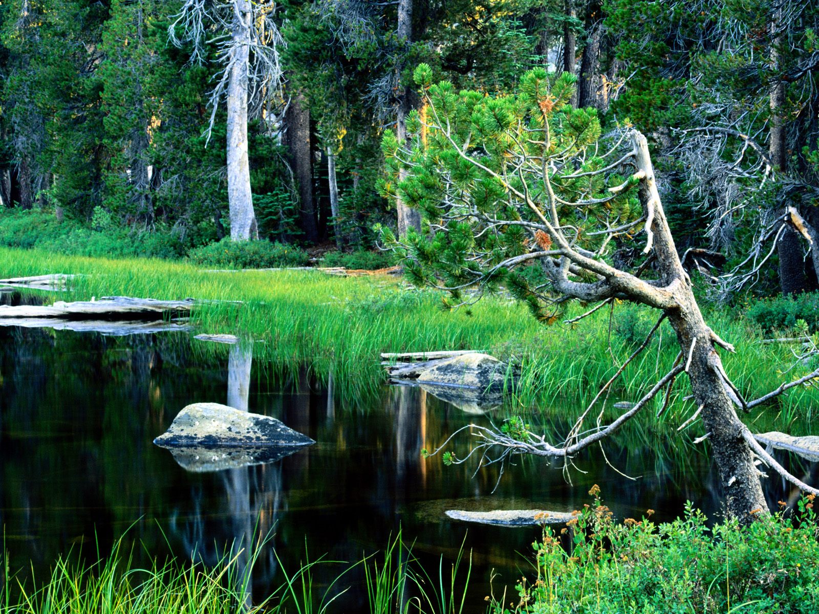 Nature Pic  2144