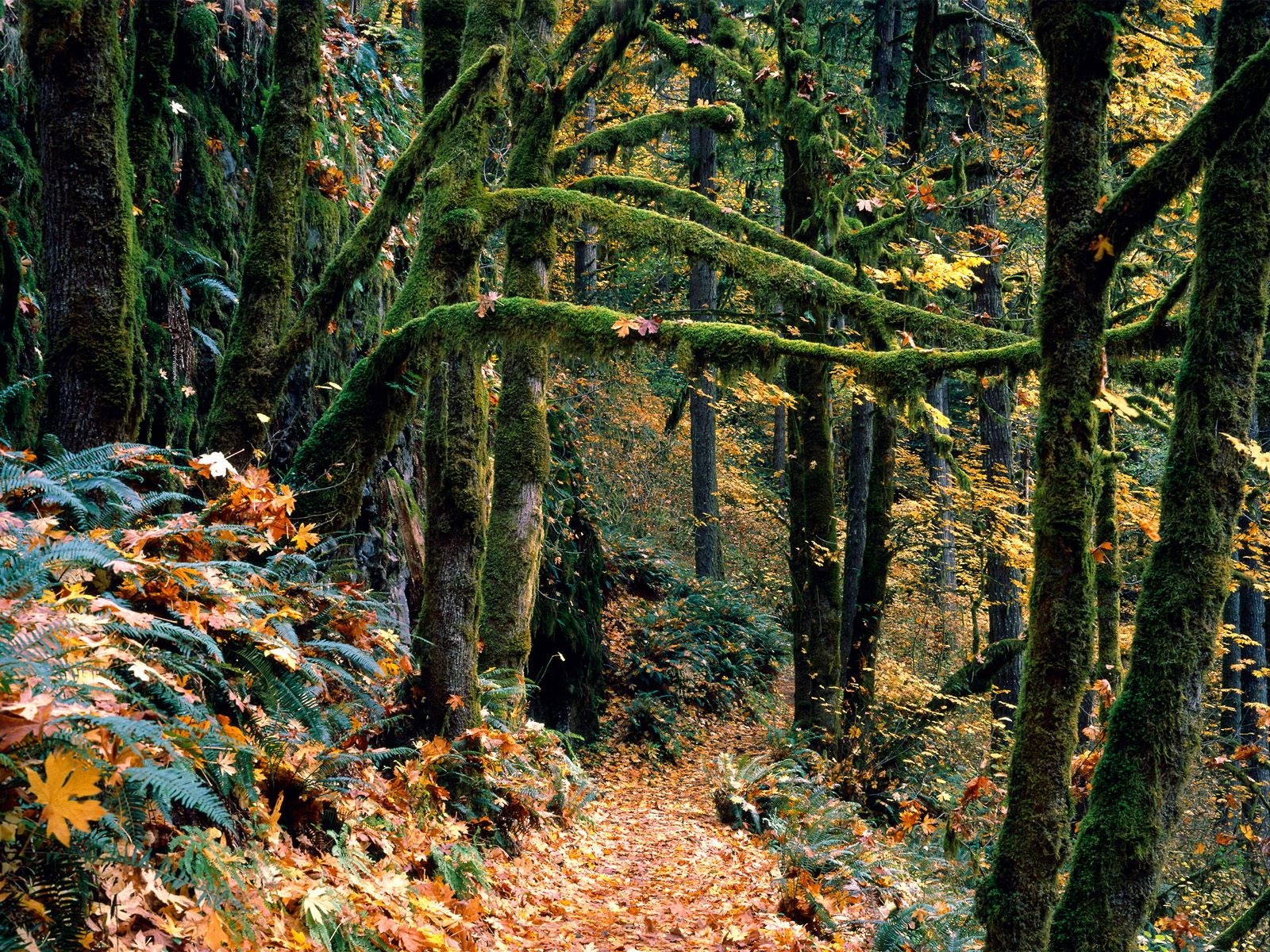 Nature Pic  2146