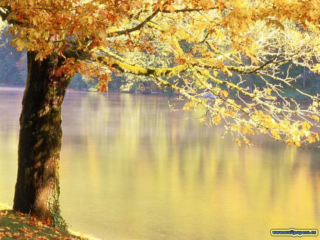Nature Pic  2147