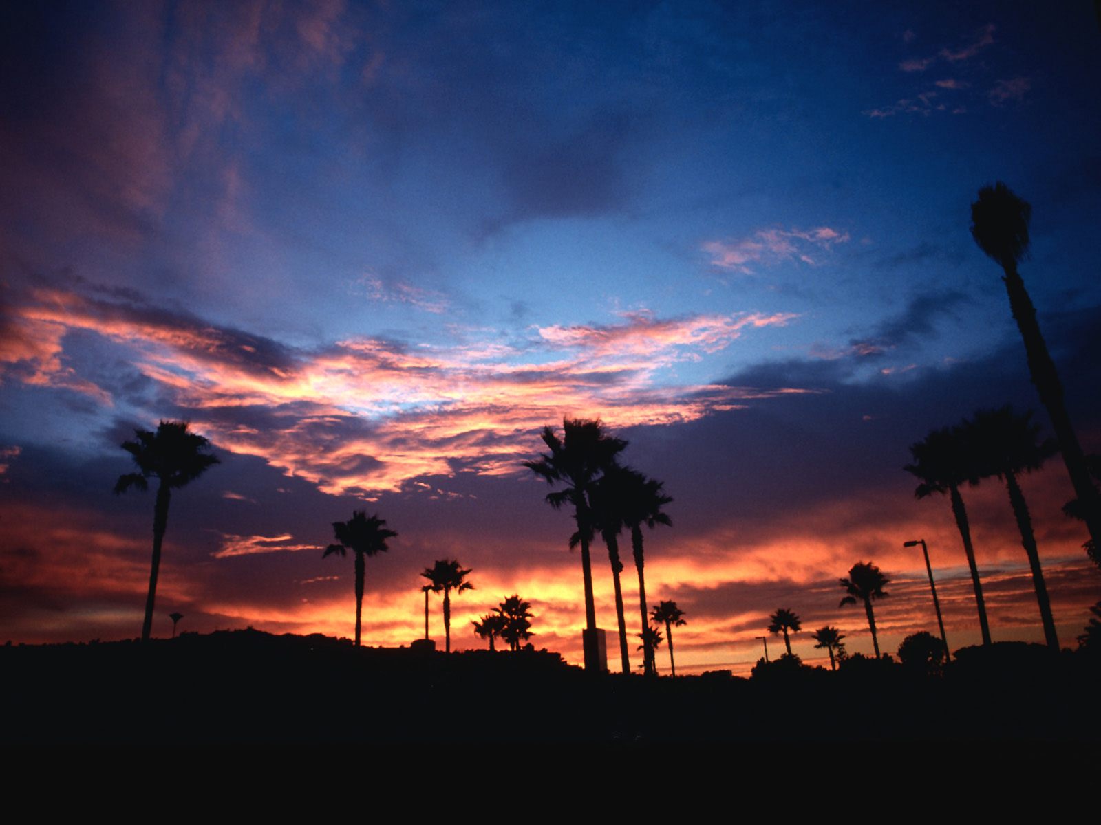 Nature Pic  2165
