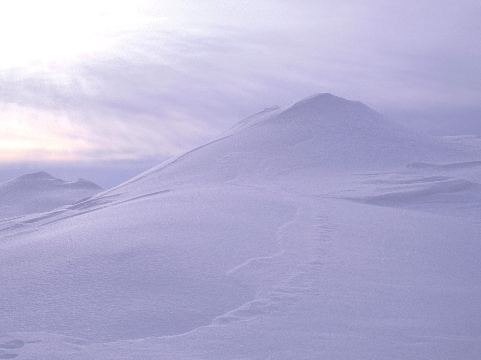 Nature Pic  2178